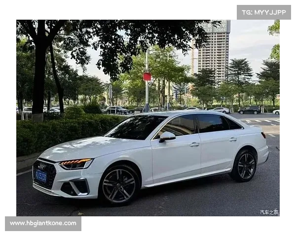 奥迪年会2020 奥迪年会2020